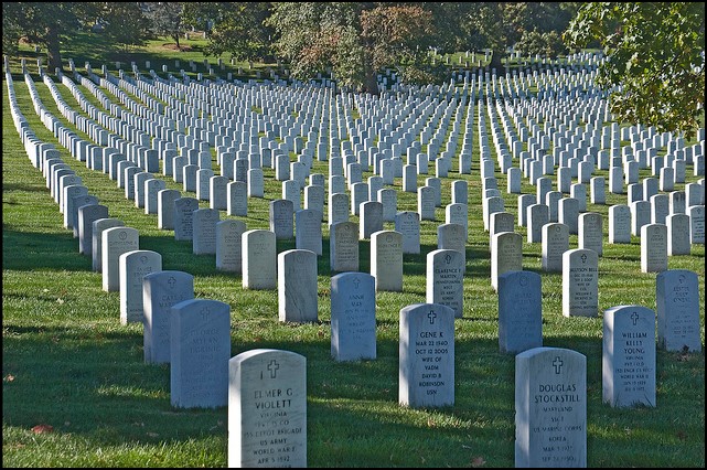 Image of gravestones at Arlington National Cemetery