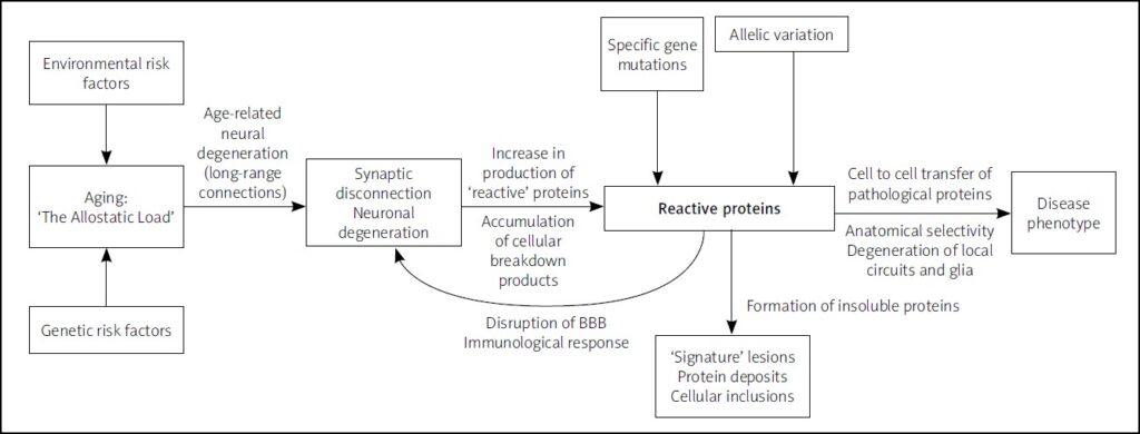 Image shows the progression of neurodegenerative disease