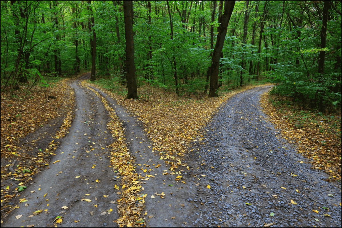 Photo of a Fork in the road.